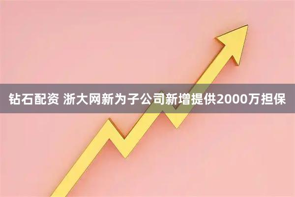 钻石配资 浙大网新为子公司新增提供2000万担保