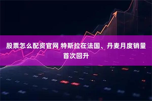 股票怎么配资官网 特斯拉在法国、丹麦月度销量首次回升