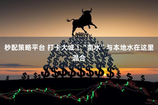 秒配策略平台 打卡大城｜“南水”与本地水在这里混合
