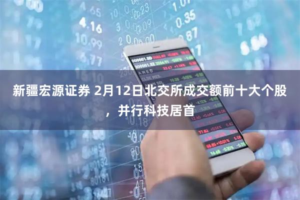 新疆宏源证券 2月12日北交所成交额前十大个股，并行科技居首